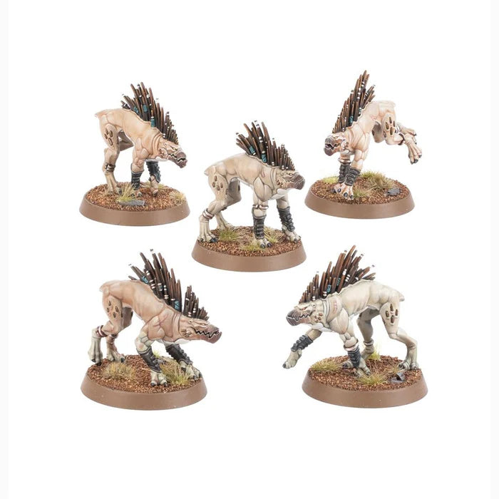 TAU EMPIRE KROOT HOUNDS