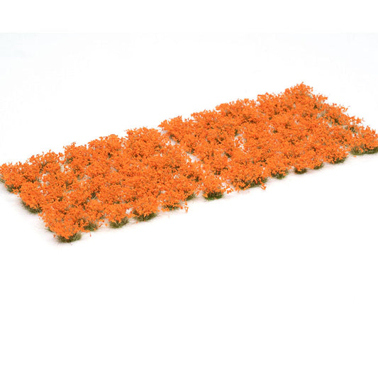 GAMERS GRASS ORANGE FLOWERS  WILD