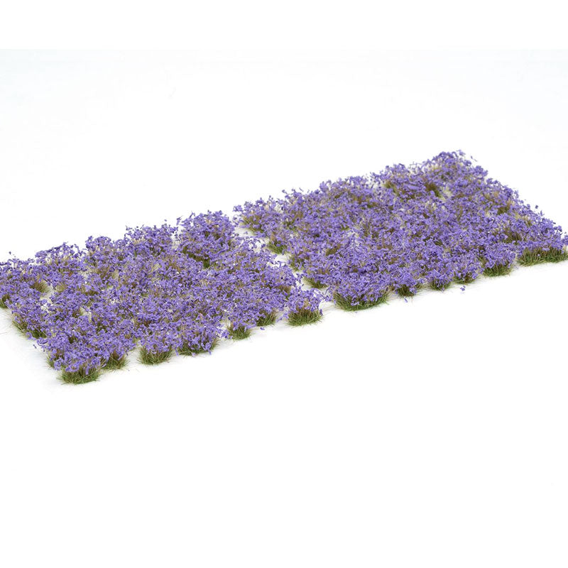 GAMERS GRASS VIOLET FLOWERS  WILD