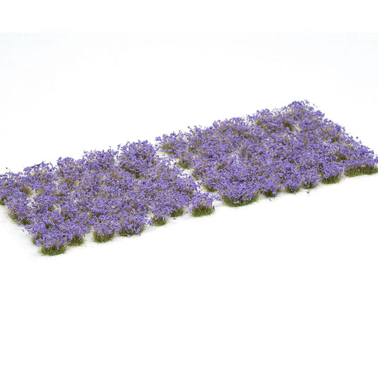 GAMERS GRASS VIOLET FLOWERS  WILD