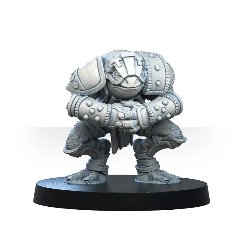 GREEBO BLOOD BOWL PORAKA TEAM BUNDLE