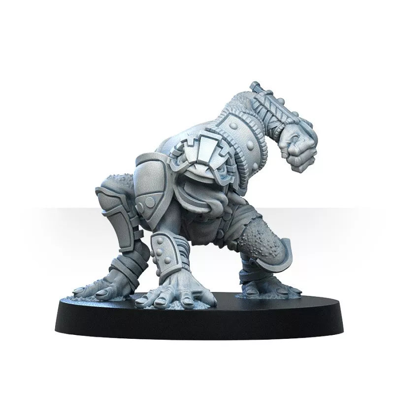 GREEBO BLOOD BOWL PORAKA TEAM BUNDLE
