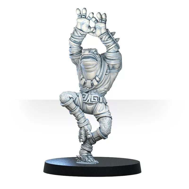 GREEBO BLOOD BOWL PORAKA TEAM BUNDLE