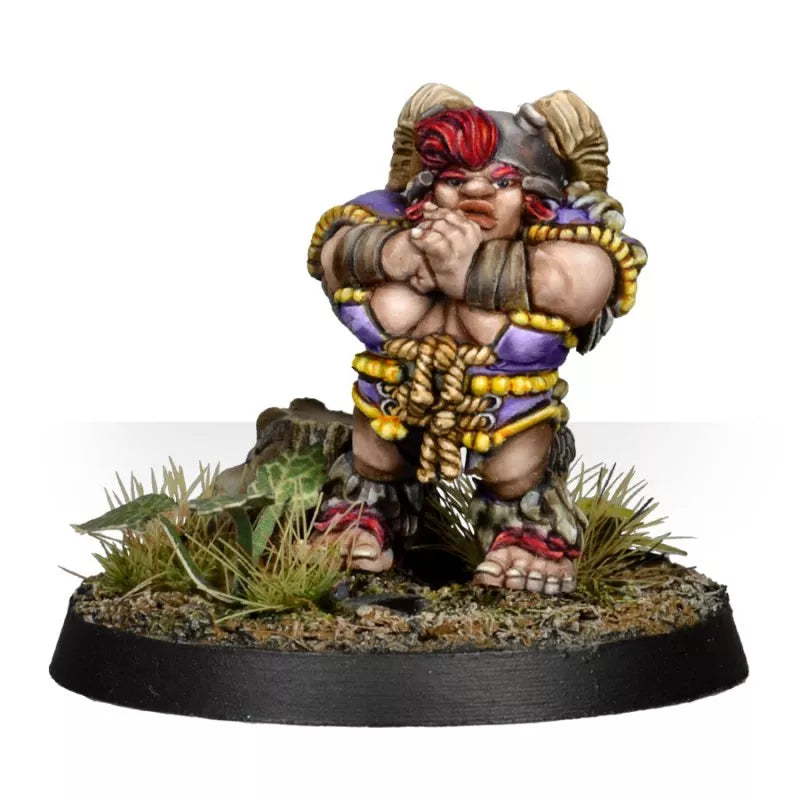 GREEBO BLOOD BOWL SNUSNUGG TEAM BUNDLE