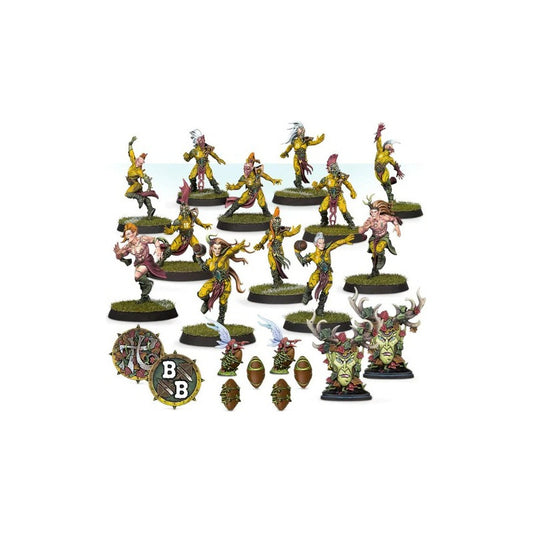 BLOOD BOWL WOOD ELF TEAM